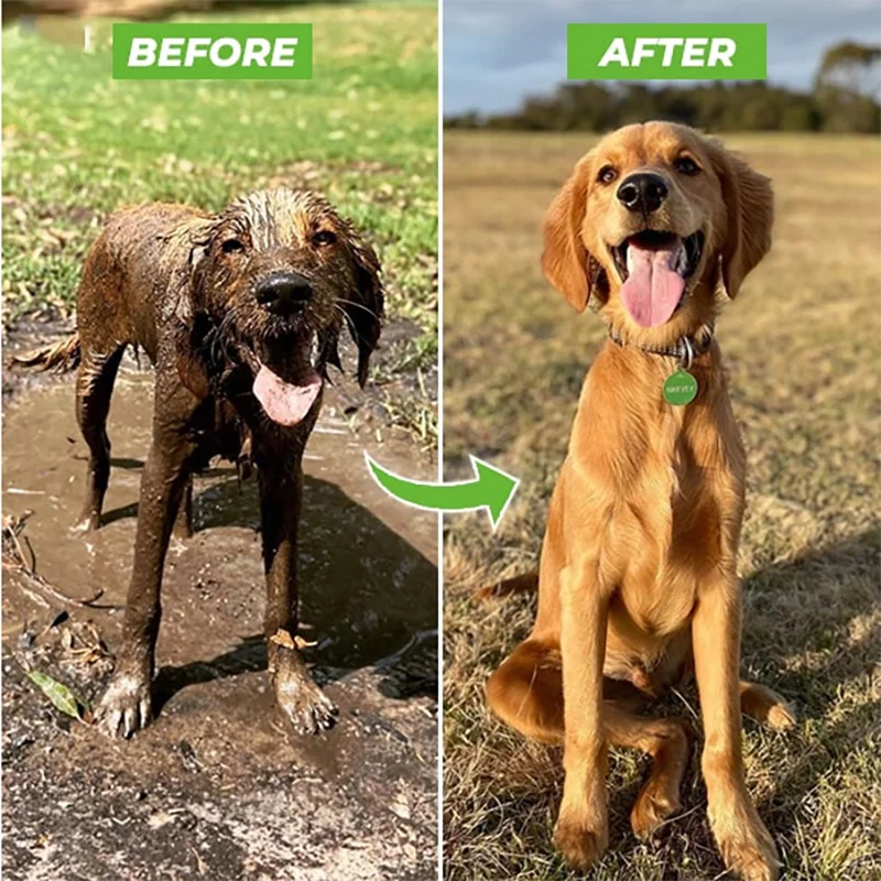 Bark Bathe Pro™ – All-in-One Pet Bathing System
